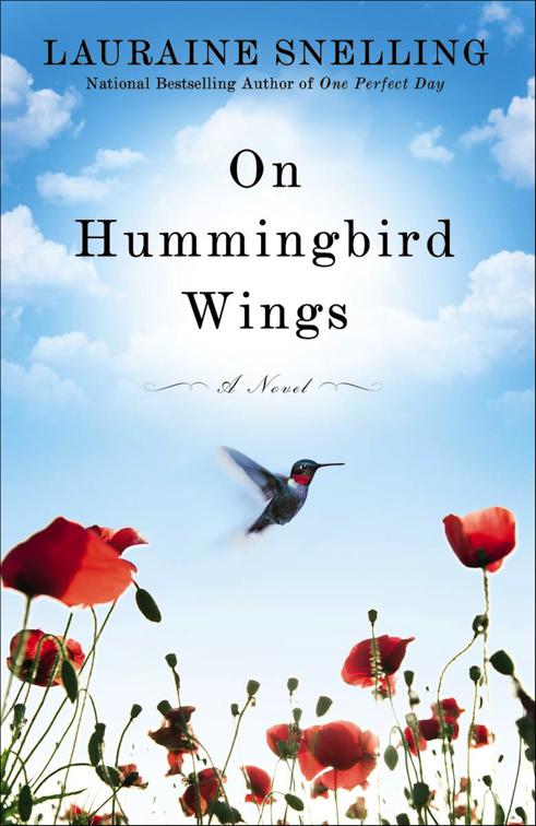 On Hummingbird Wings