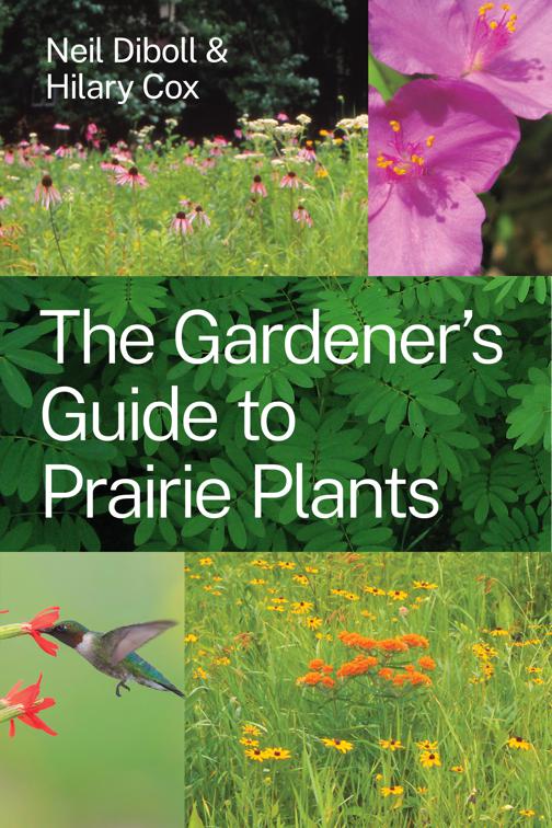 Gardener&#x27;s Guide to Prairie Plants