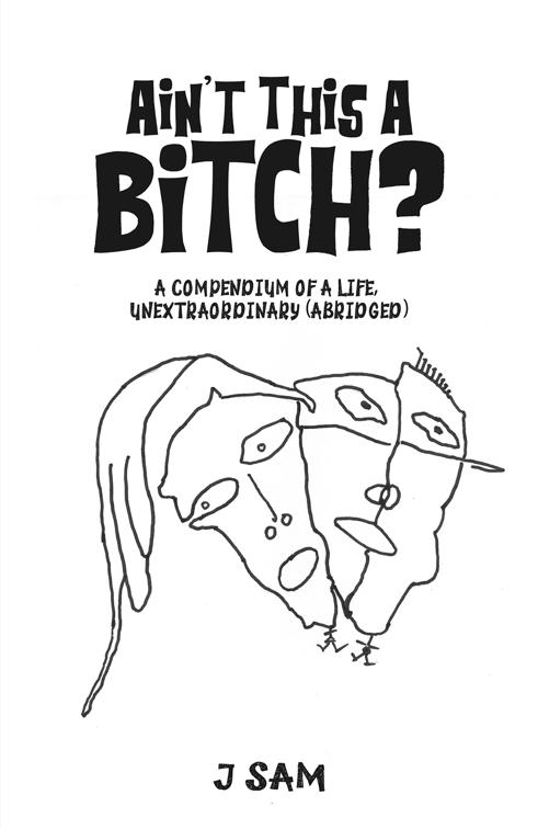 Ain&#x27;t This a Bitch?