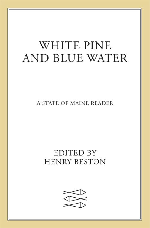 White Pine &amp; Blue Water, City and Country Reader Series