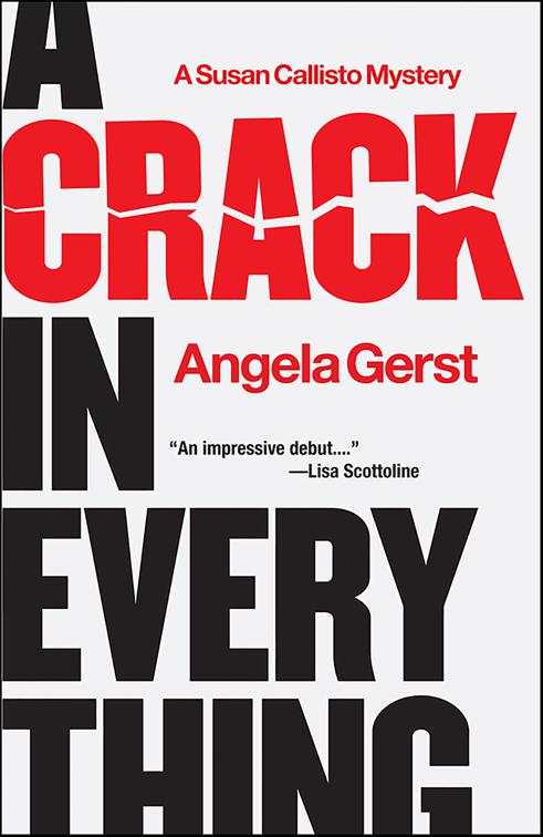 Crack in Everything, Susan Callisto Mysteries