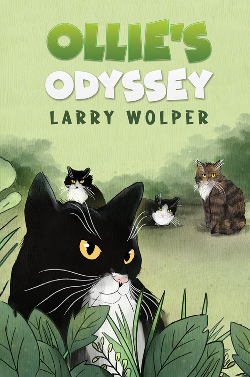 Ollie&#x27;s Odyssey