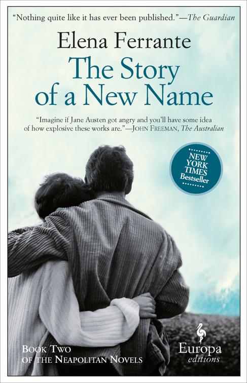 Story of a New Name, Neapolitan Novels