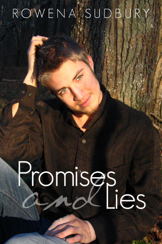 This image is the cover for the book Promises and Lies