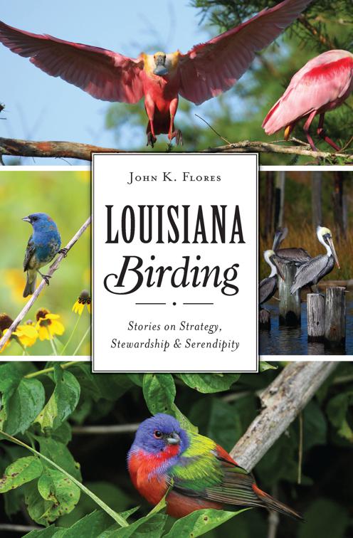 Louisiana Birding, Natural History