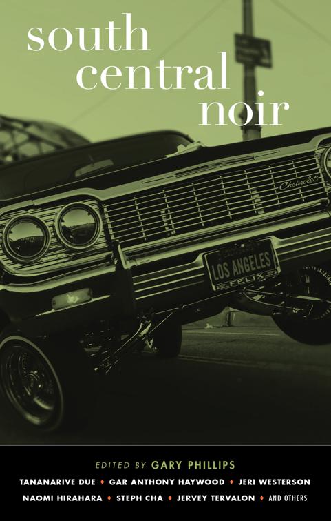 South Central Noir, Akashic Noir