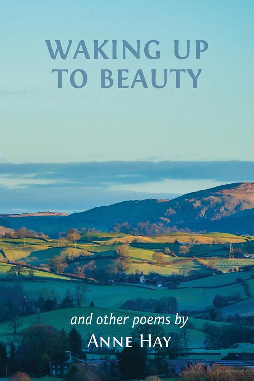 This image is the cover for the book Waking Up to Beauty