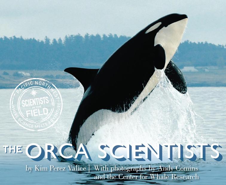 Orca Scientists, Scientists in the Field