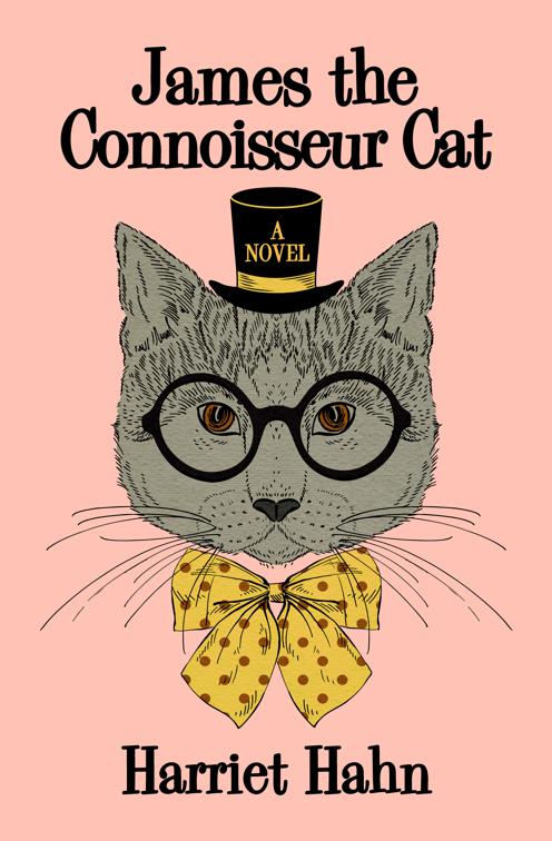 James the Connoisseur Cat, The Connoisseur Cat