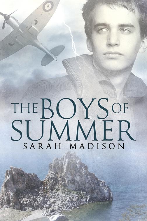 This image is the cover for the book The Boys of Summer