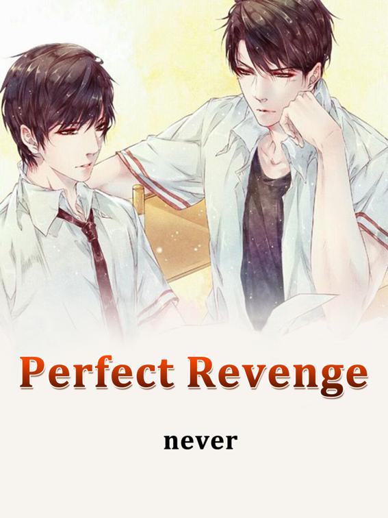 This image is the cover for the book Perfect Revenge, Volume 1