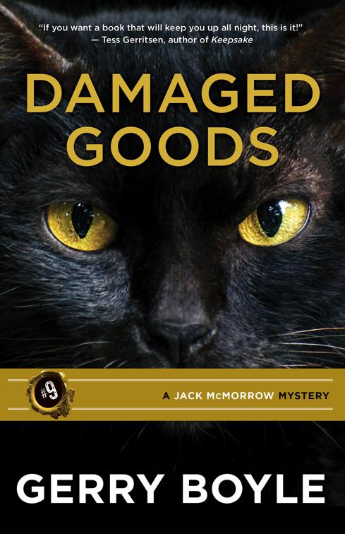 This image is the cover for the book Damaged Goods, A Jack McMorrow Mystery