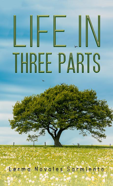 This image is the cover for the book Life in Three Parts