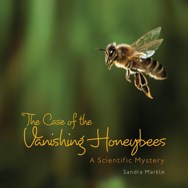 Case of Vanishing Honeybees, Sandra Markle&#x27;s Science Discoveries