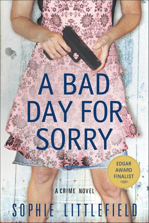 A Bad Day for Sorry, Stella Hardesty Crime Series