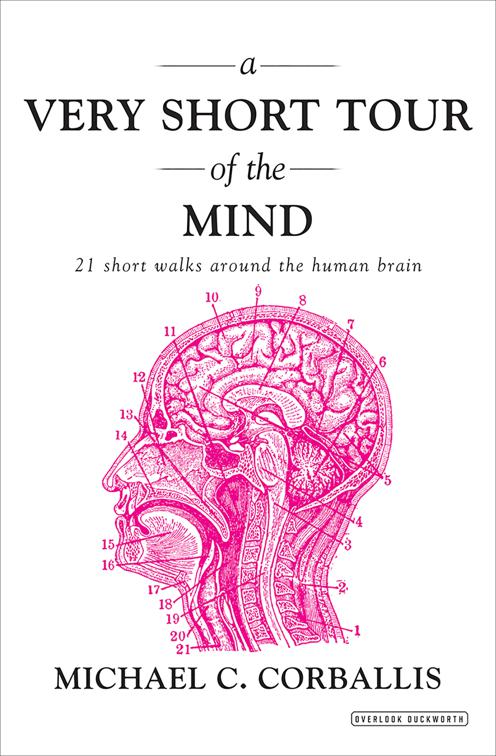 Very Short Tour of the Mind