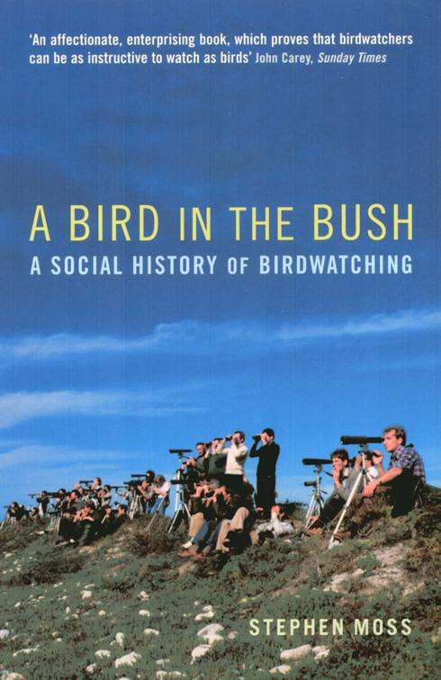 Bird in the Bush