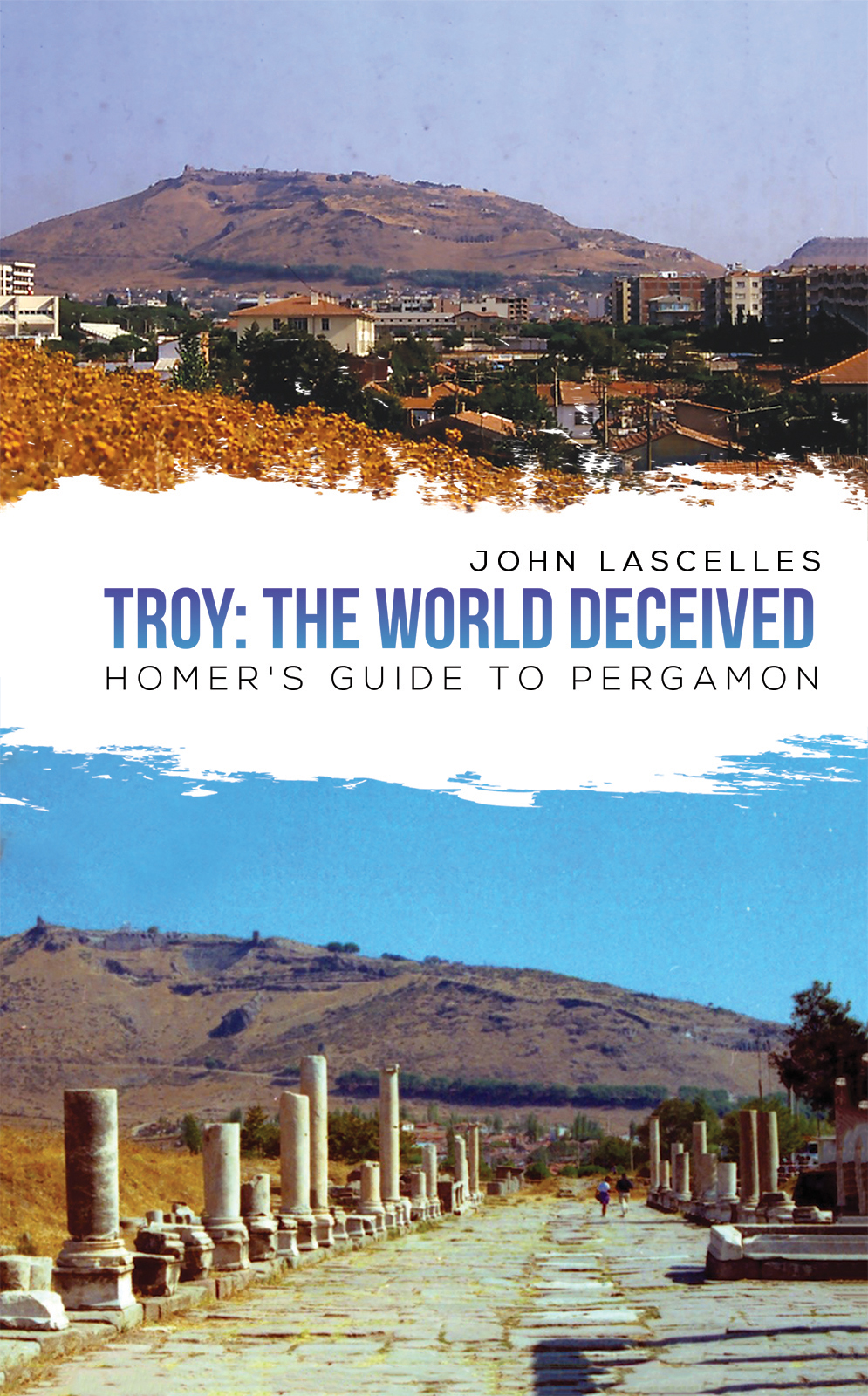 This image is the cover for the book Troy: The World Deceived