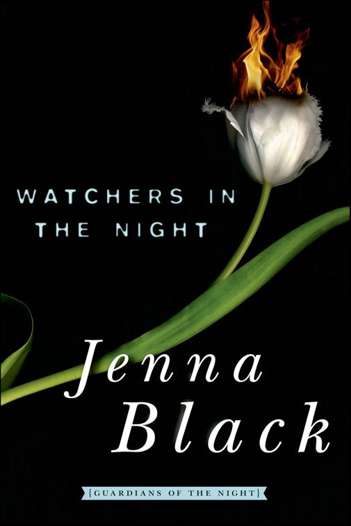Watchers in the Night, Guardians of the Night Series