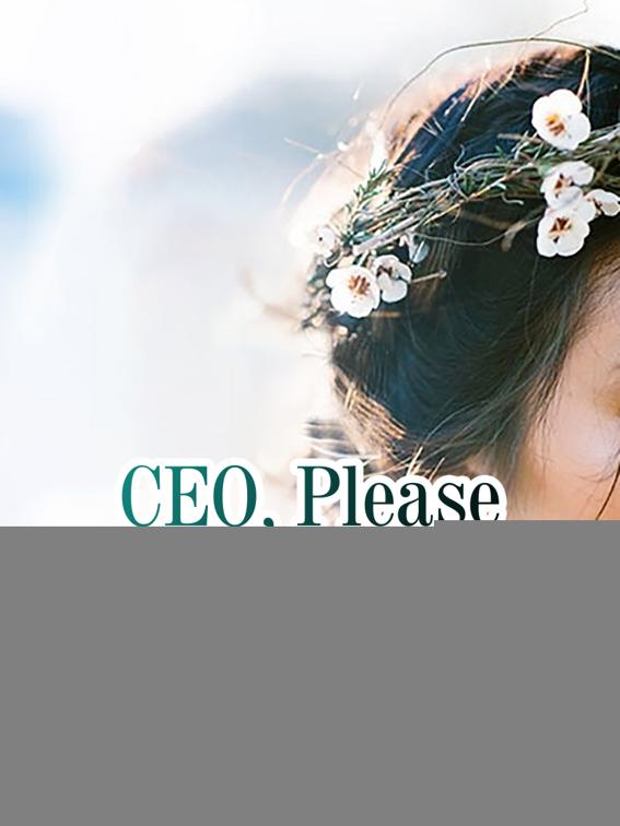 CEO, Please Take Me As Wife, Volume 3
