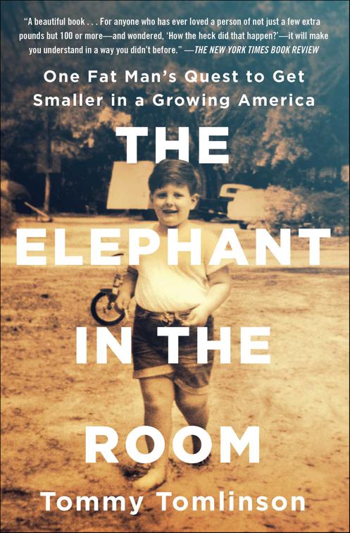 Elephant in the Room