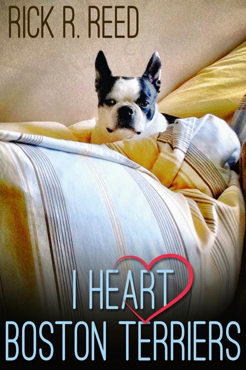 I Heart Boston Terriers