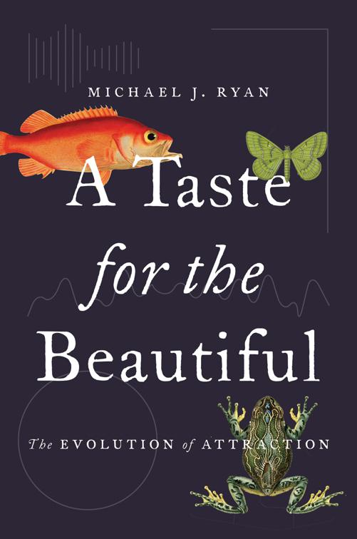 Taste for the Beautiful