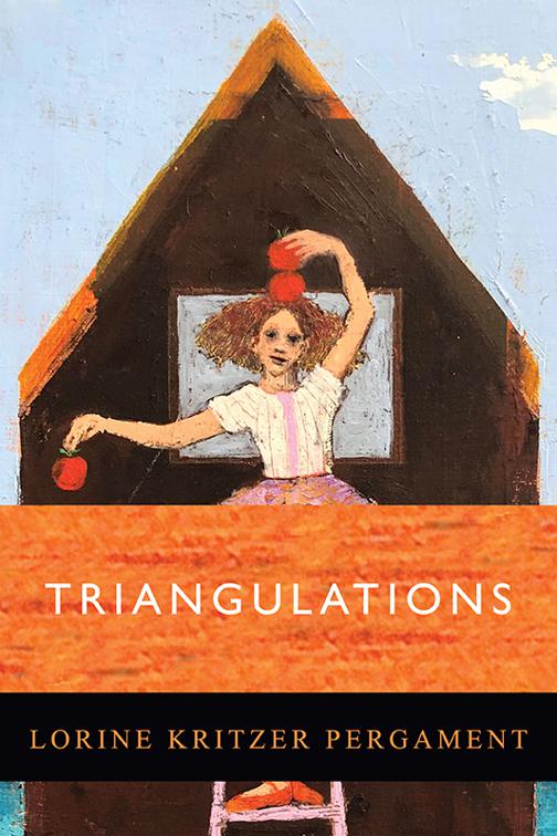 This image is the cover for the book Triangulations