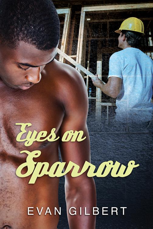 This image is the cover for the book Eyes on Sparrow
