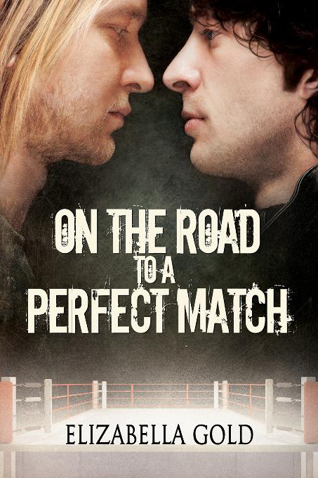 This image is the cover for the book On the Road to a Perfect Match