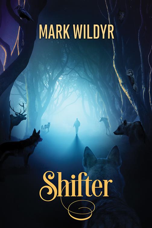 This image is the cover for the book Shifter