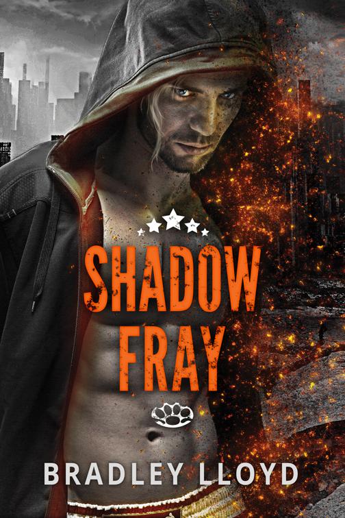 Shadow Fray, Shadow Fray