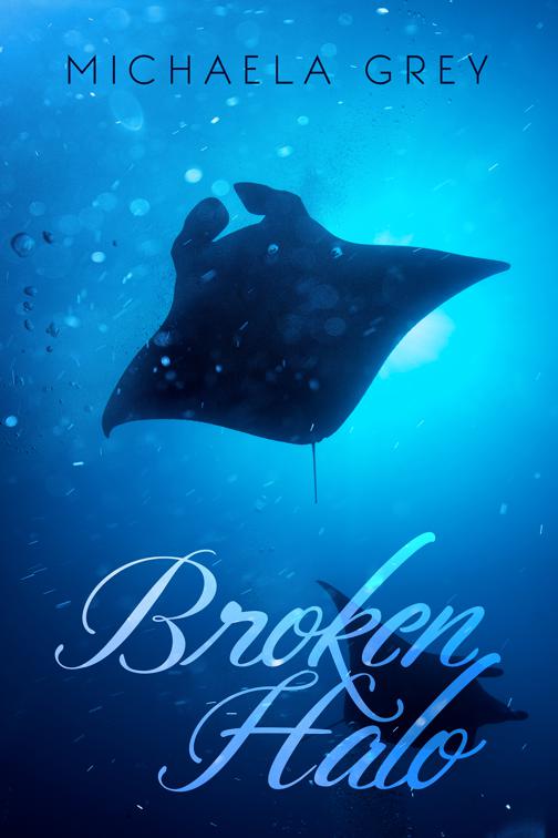 This image is the cover for the book Broken Halo, Mended Hearts
