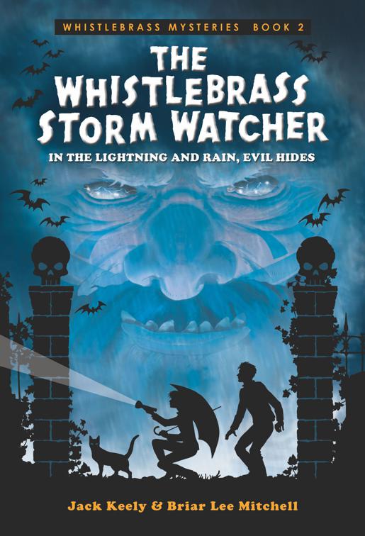 Whistlebrass Storm Watcher, Whistlebrass Mysteries