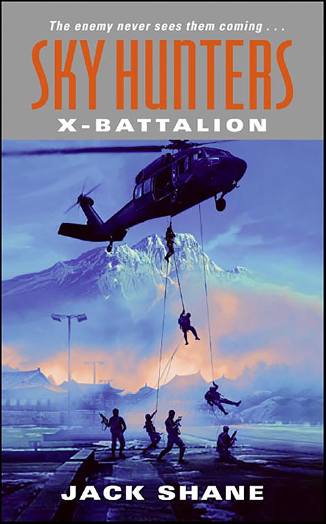 Sky Hunters: X-Battalion, Sky Hunters