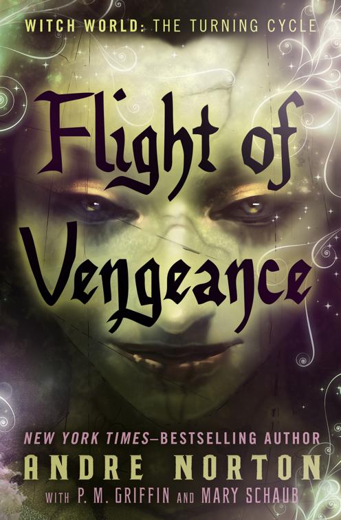 Flight of Vengeance, Witch World: The Turning Cycle