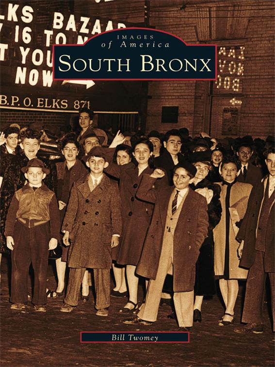 South Bronx, Images of America