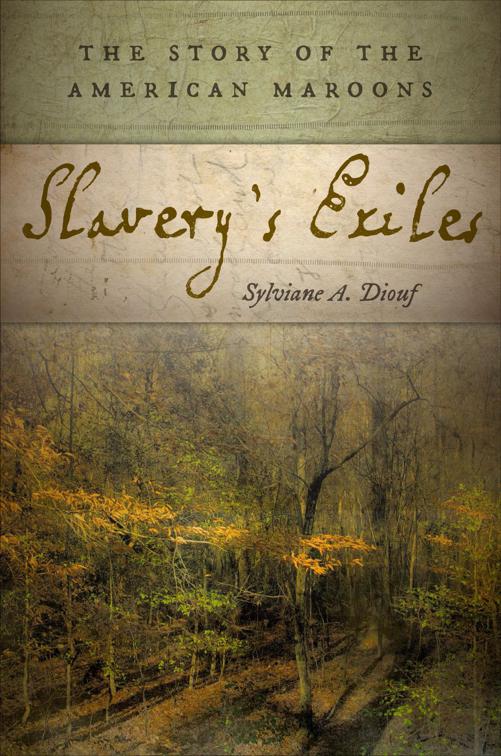 Slavery&#x27;s Exiles