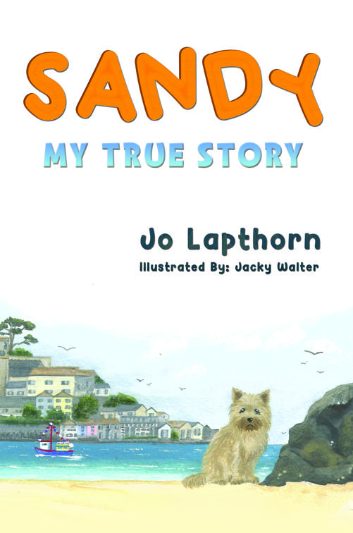 Sandy