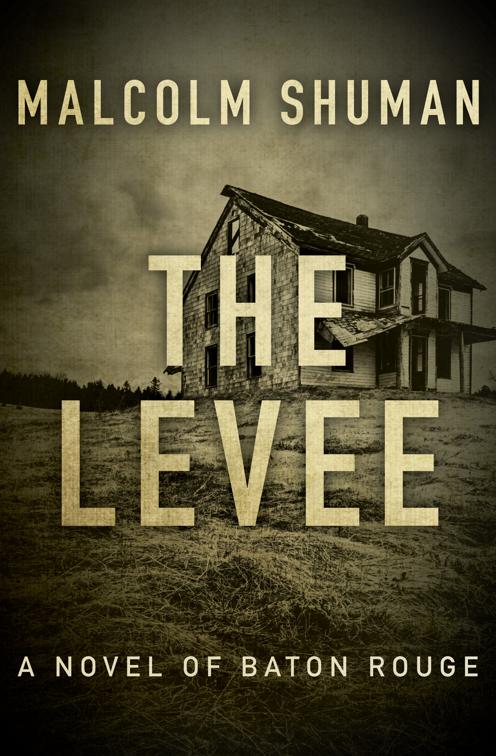 Levee