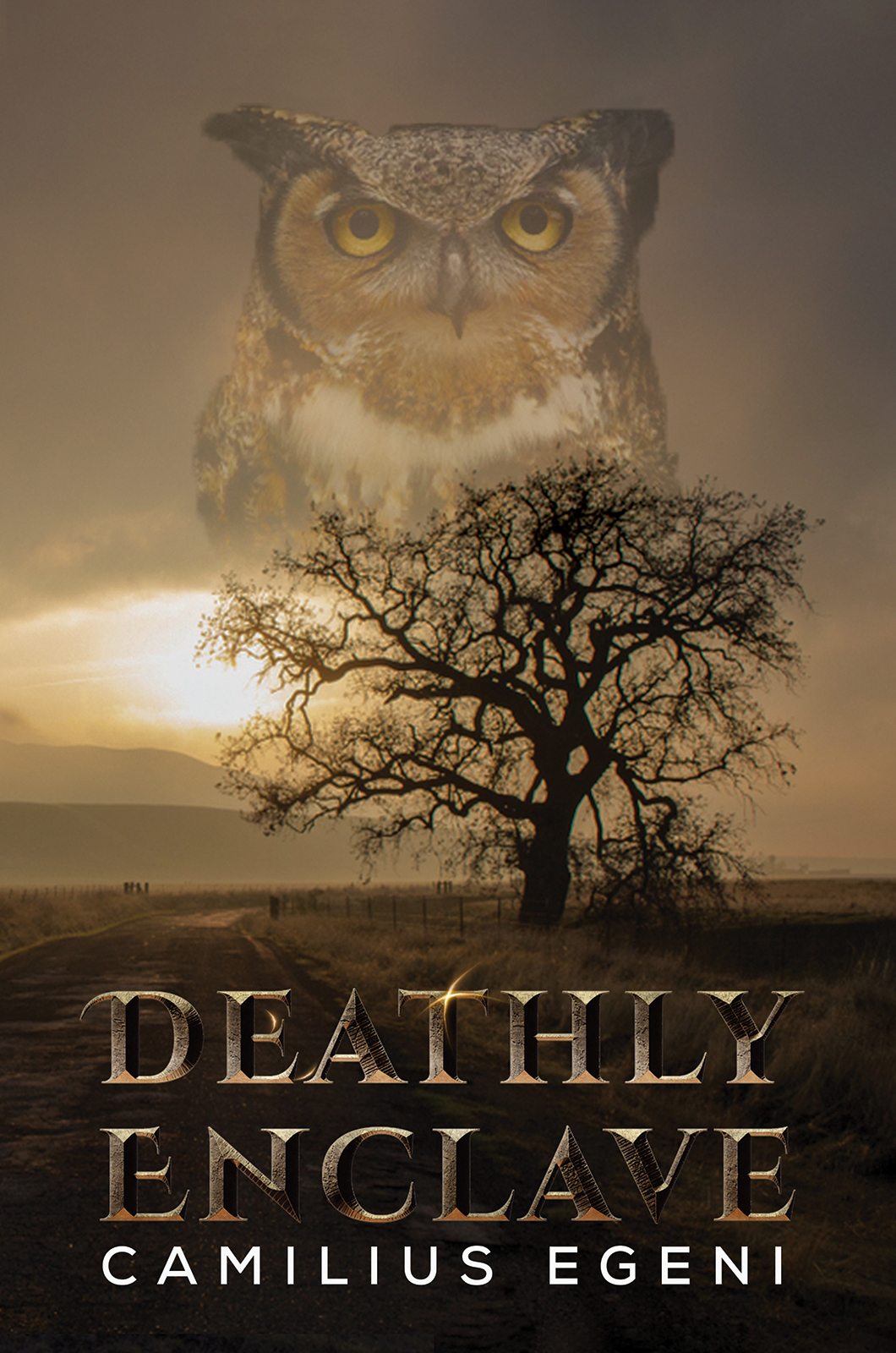 This image is the cover for the book Deathly Enclave