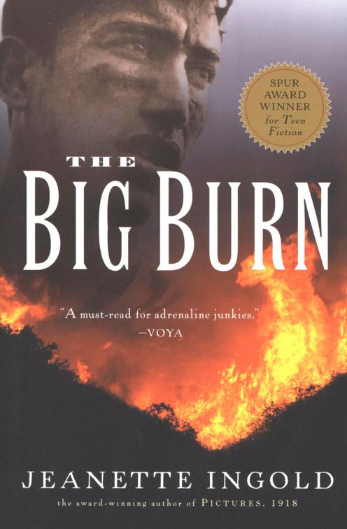 Big Burn