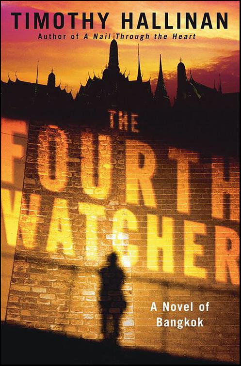 Fourth Watcher, Poke Rafferty Thriller