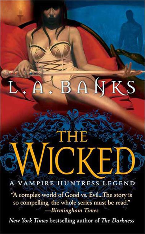 Wicked, Vampire Huntress Legend Series