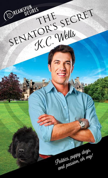 This image is the cover for the book The Senator's Secret, Dreamspun Desires