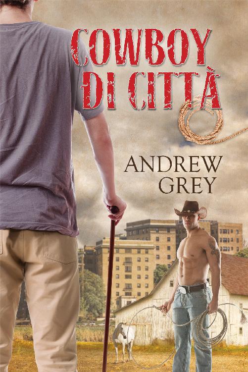 Cowboy di città