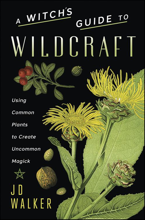 Witch&#x27;s Guide to Wildcraft