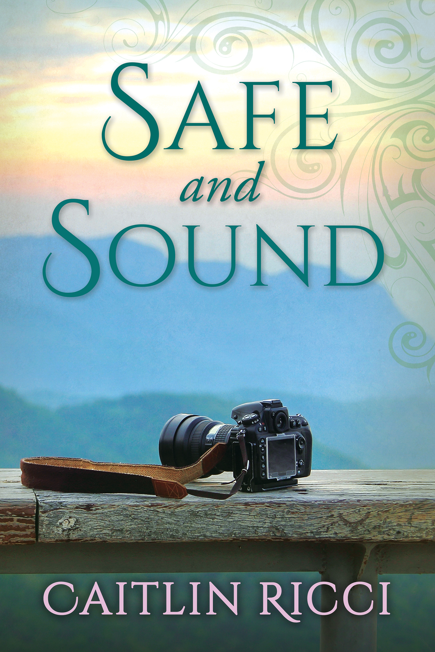 This image is the cover for the book Safe and Sound