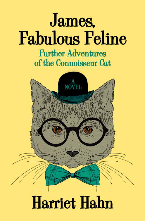James, Fabulous Feline, The Connoisseur Cat