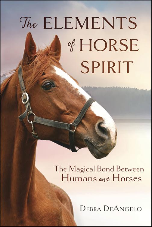 Elements of Horse Spirit